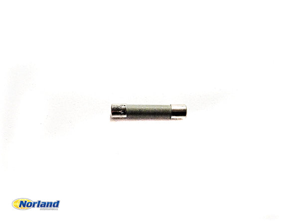 10 Amp 250V Fuse
