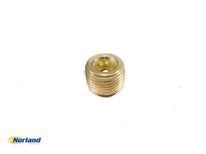 1/8" MNPT Brass Socket Head Plug